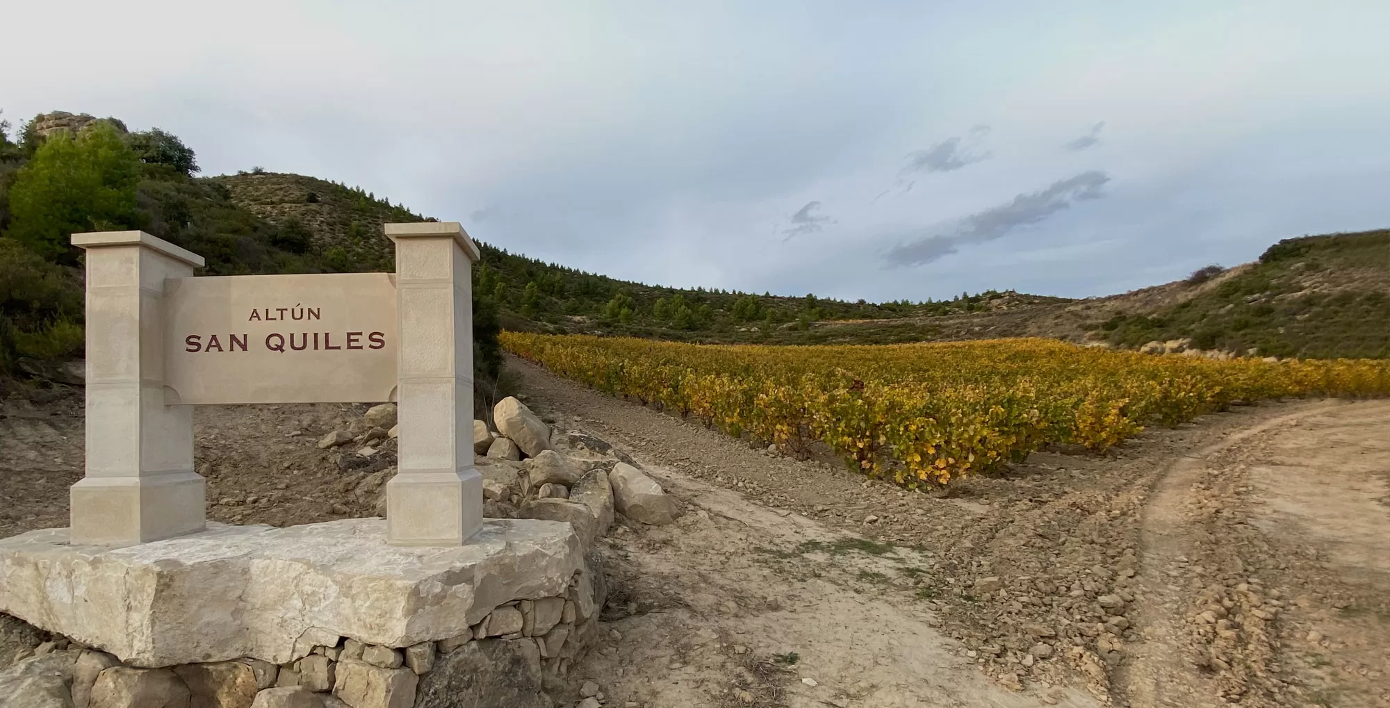 Vineyard in the San Quiles plot of Bodegas Altún